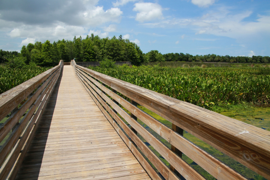 Green Cay Wetlands Nature Preserve Boynton Beach