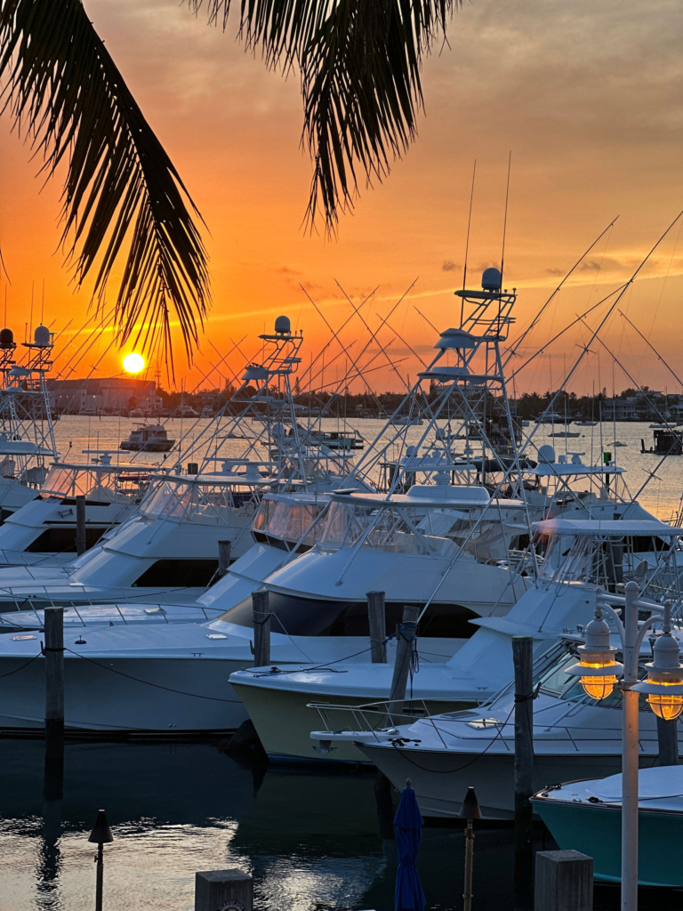 Singer Island Florida Boats